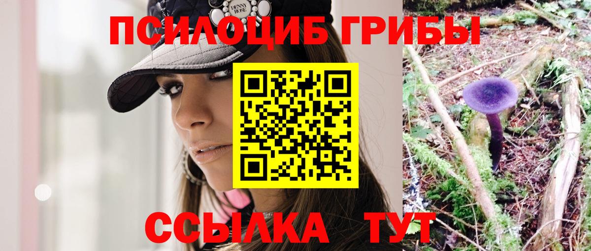 Галлюциногенные грибы Psilocybe Партизанск