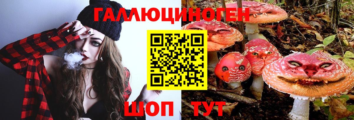 Кокаин  Вход с VPN  Меф кристаллы  NBOMe  A-PVP СК   Партизанск  ГАШ  Амфетамин кристаллы  Конопля 